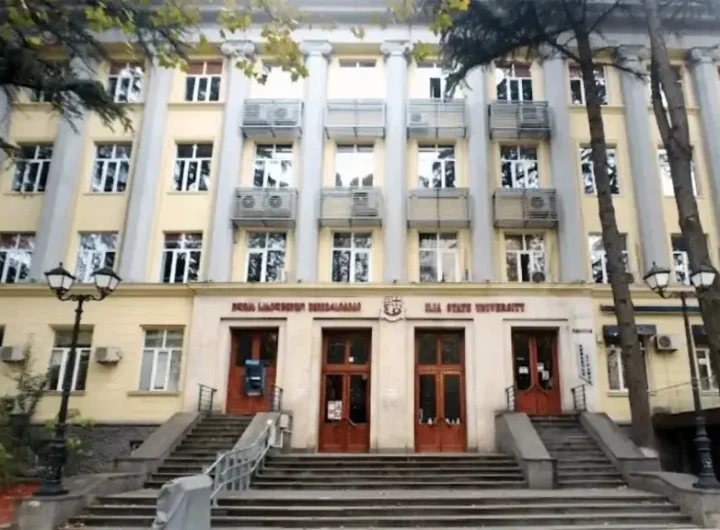 جامعة إيليا الحكومية فى جورجيا
