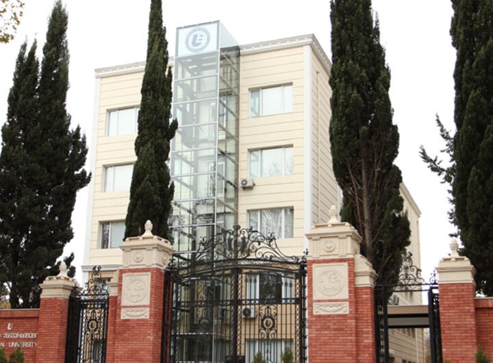 الجامعة الأوروبية في جورجيا