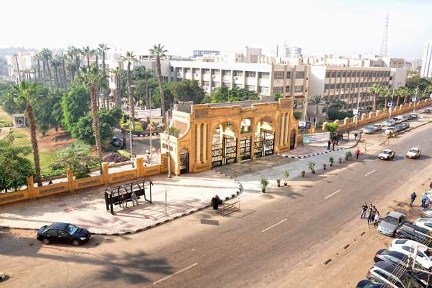 رسوم الدراسة فى جامعة المنصورة 