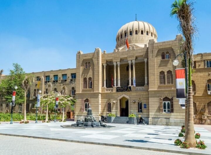 رسوم دراسة طب الأسنان في مصر