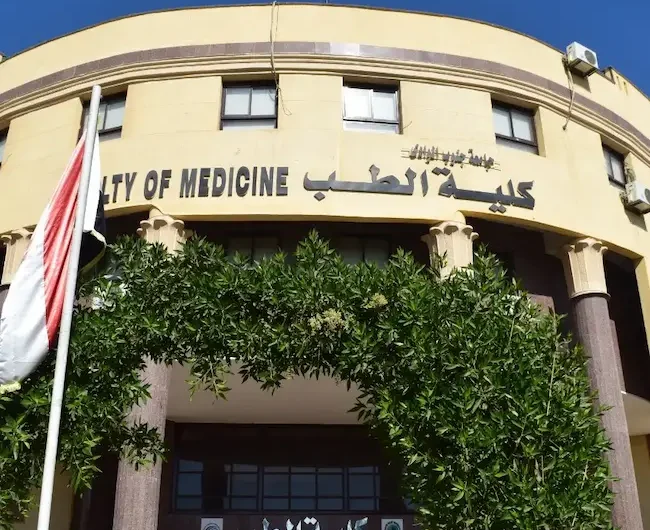 دراسة الطب البشرى فى مصر