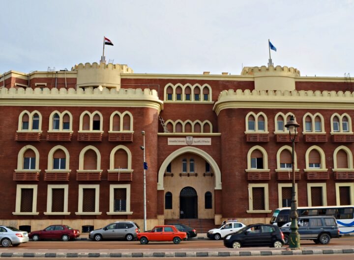 الدراسة فى مصر بجامعة الاسكندرية